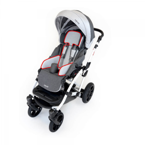- Mouse : poussette handicap multi réglable